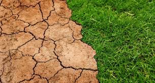 Klimatske promjene i korupcija